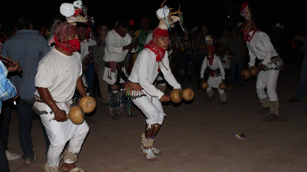 Antropología e Historia en Sonora1